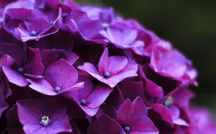 Tiny Talks Series: E26 Stigma & Dementia