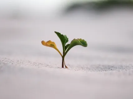 Tips For Your Personal Growth