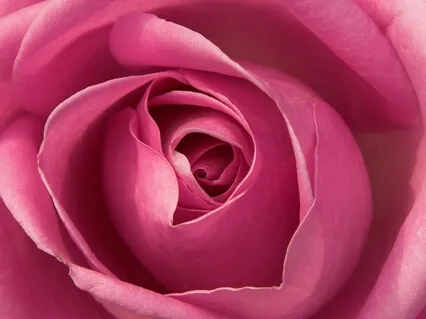 For The Tired Mother: Rest, And Tune In To Your Needs