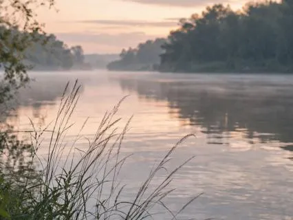 Tired Of Fighting The Pain | Let Your Body Rest