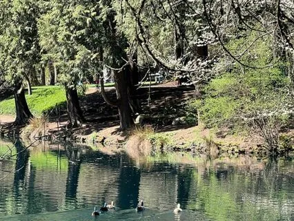 Tired - Responding With Prayer