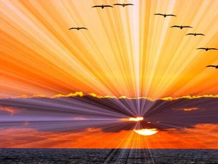 Title: My Past Is Not My Prison (Daily Prayer)