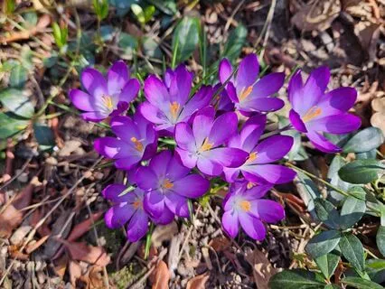 Title: Releasing: A Guided Journey Meditation