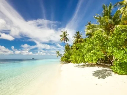 تأمل الحضور الذهني – Mindfulness Meditation Of Body & Breath