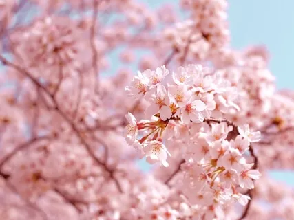 To Always Dream And Never Open My Eyes