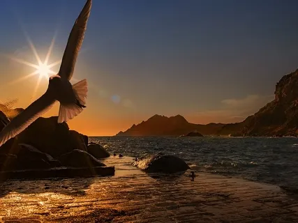 To Assist With Addictions