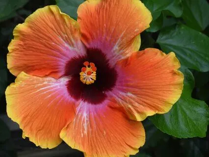 To Be A Woman - Spoken Word