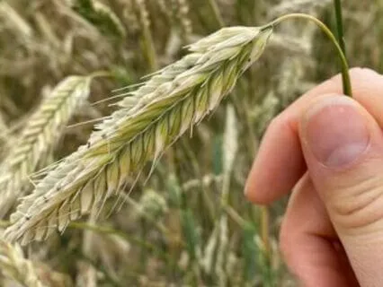 To Be Beautiful Means To Be Yourself