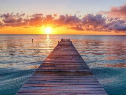 To Begin Again: A Meditation Of Renewal