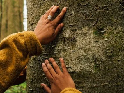 To Begin With, The Sweet Grass - Poem By Mary Oliver