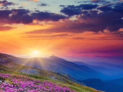 To Empty The Mind Is To Break The Continuation Of Thoughts