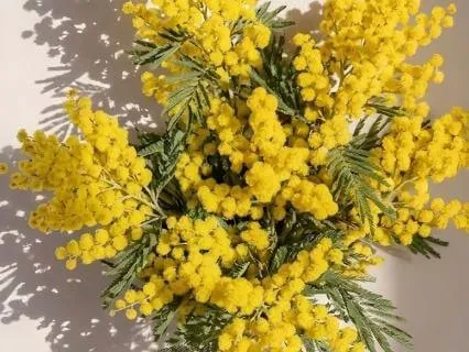 To Every Woman | Women's Day