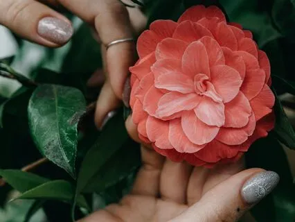 To Feel Compassion For Yourself Is Enough