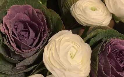 To Feel Lighter Like A Butterfly