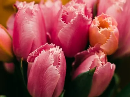 To Love & Be Unabashedly Loved -- An Affirmative Prayer