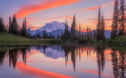 To Meditate Is To Be Deeply Aware Of The Violence In Oneself