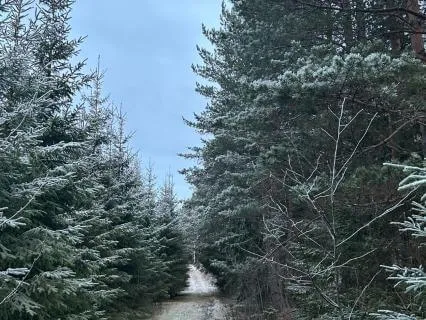 To Reconnect And To Find Your Footing