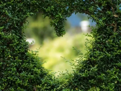 Recover From Heartbreak And Loss