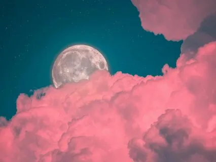 To Remain In Our Lonesome Shell Or Not: That Is The Question