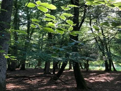 To See & Be Seen In Love