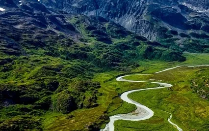 To Sheerly Act Is To Stop Seeking Now