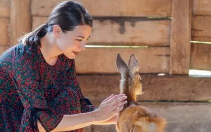 To Tame Or To Blame - That Is The Quest