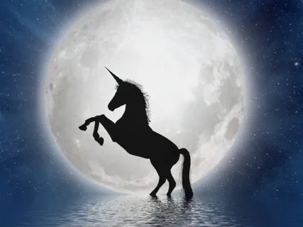 To The Moon With A Unicorn
