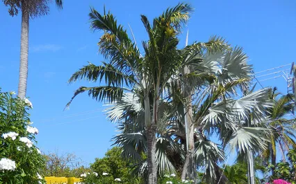 To Theism Or Not To Theism Or Is There Something Else 