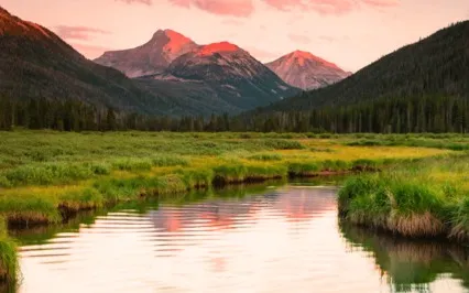 To Understand Trust Is To See What Is Trust, Not Trust What