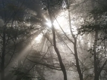 To You Is Our Return