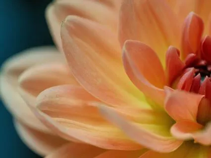 Today Can Be The Last Day Of Your Unnecessary Suffering