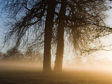 Today I Awake: A Morning Prayer