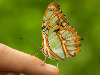 Today I Choose Compassion: Self And Others