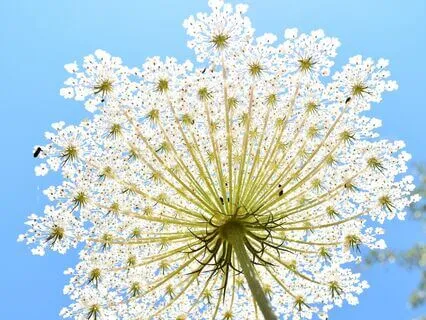 Today I Choose Me: Havening Practice