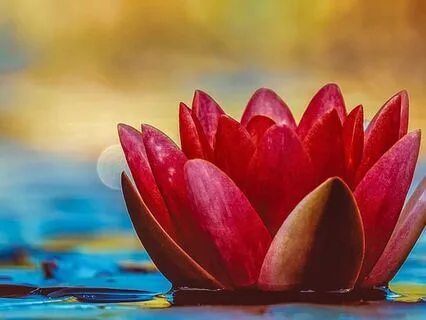 Today I Glow | 7-Minute Affirmations For A Magical Day