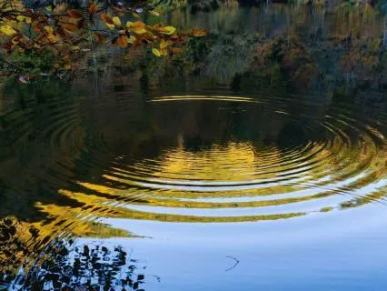 Today I Will: Create Ripples Of Kindness
