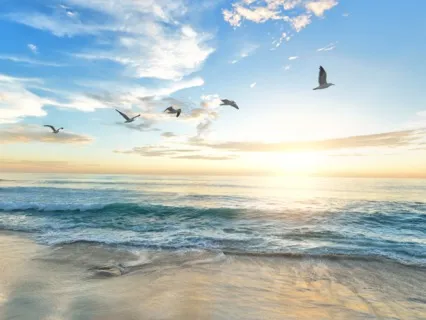 Today Is A Beautiful Day - Morning Meditation