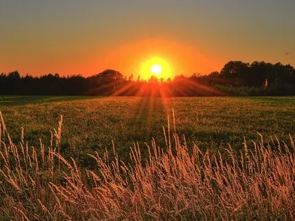 Today Is A Great Day