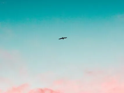 Today Is A Great Day