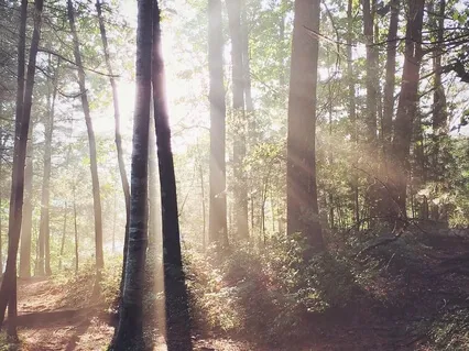 Today Is A New Day - God's Favor - Claim Victory