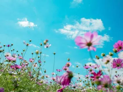 Today Is Going To Be A Beautiful Day
