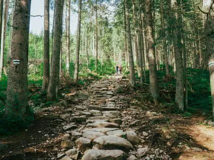 Today Is The Day For Motivation