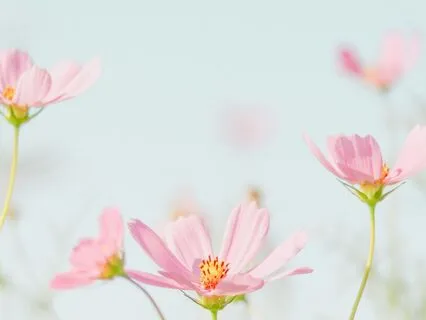 Today Is The Perfect Day