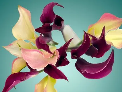 Wednesday Affirmations #3 : Radiant Power