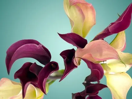 Saturday Affirmations #6 : Inner Wisdom