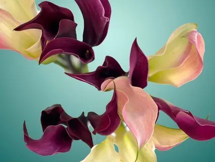 Sunday Affirmations #7 : Divine Connection