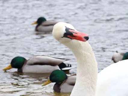 Today's Most Important Question