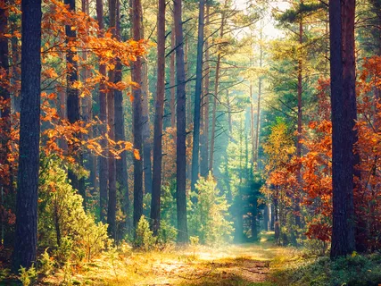 Today's Consideration: Don't Lose Your Favor!