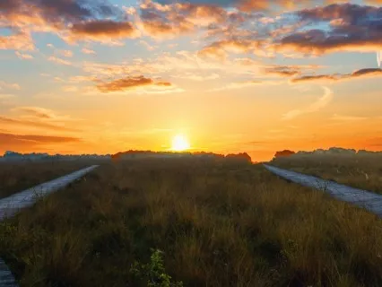 Today's Consideration: God Is With You