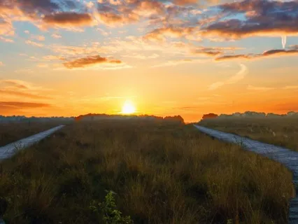 Today's Consideration: The Bumpy Path Of Purpose